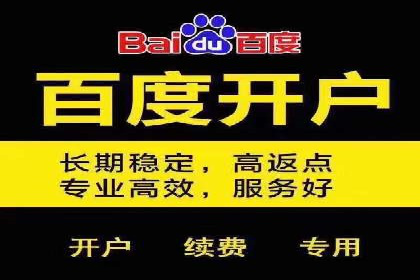 百度竞价排名优化技巧与成功案例分享